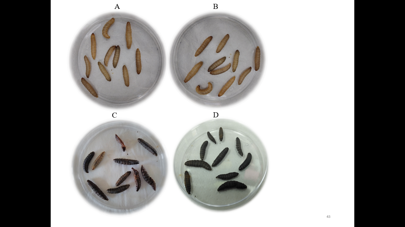 Imagen que contiene objeto, foto, gris, viejo

El contenido generado por IA puede ser incorrecto.