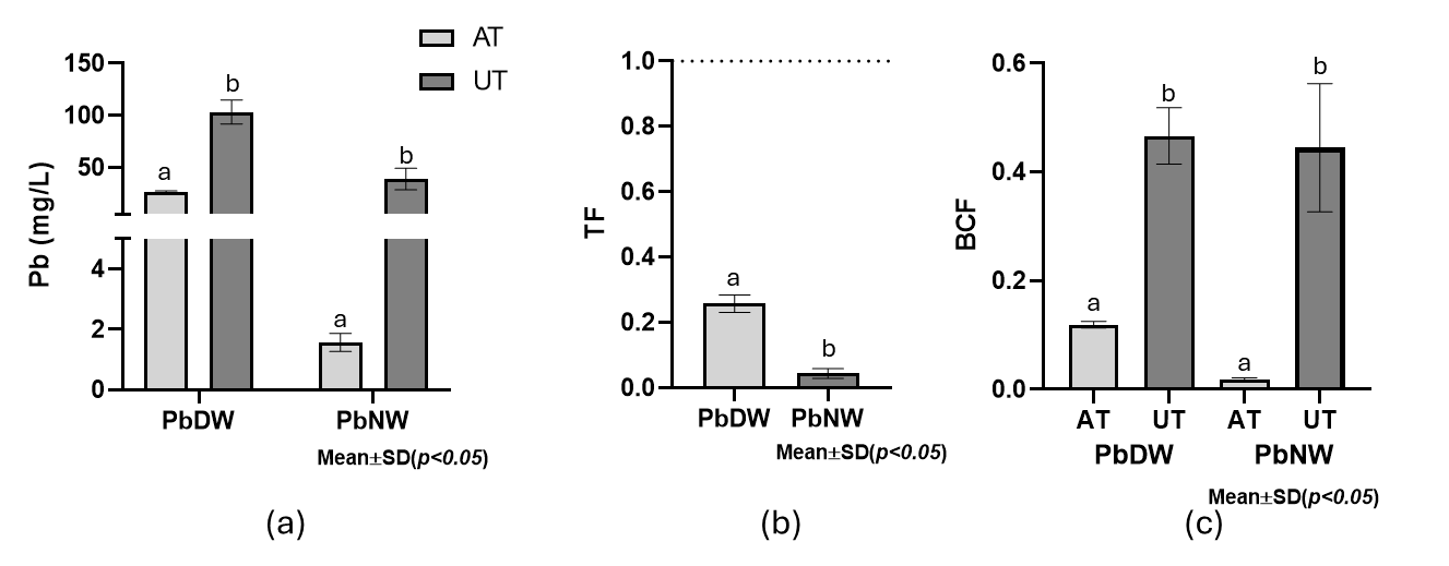 Interfaz de usuario gr&aacute;fica

El contenido generado por IA puede ser incorrecto.