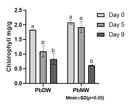 Gr&aacute;fico

El contenido generado por IA puede ser incorrecto.