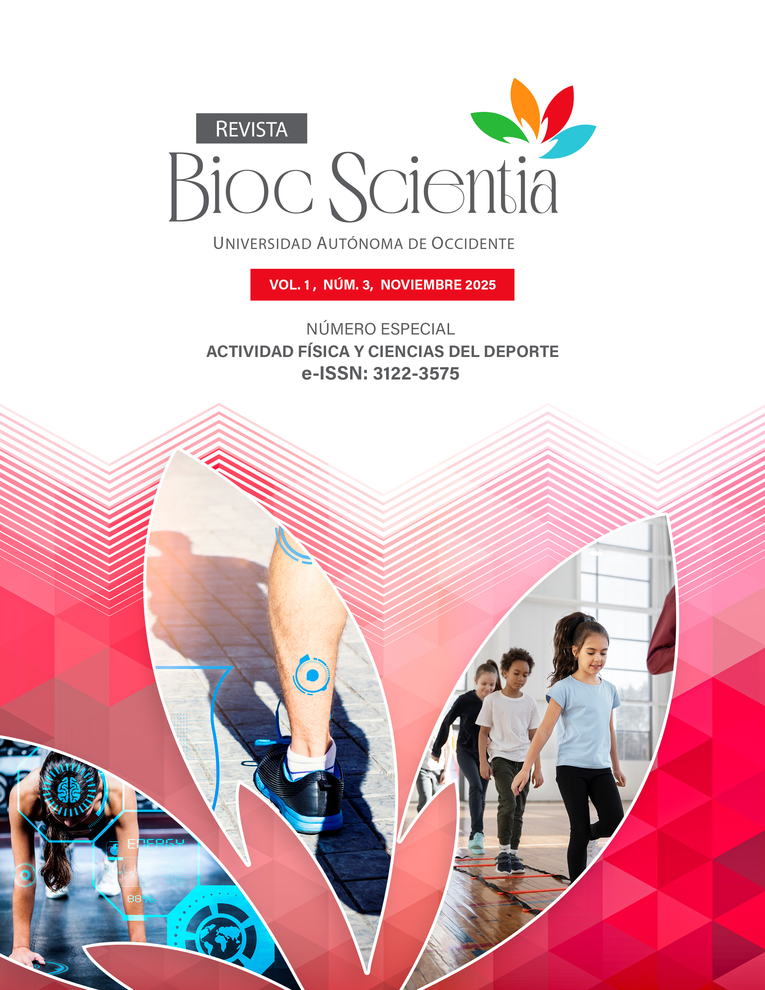 					Ver Vol. 1 Núm. 3 (2025): Número especial: Actividad Física y Ciencias del Deporte
				
